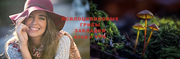 мет Верея